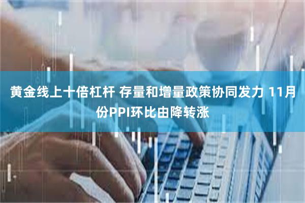 黄金线上十倍杠杆 存量和增量政策协同发力 11月份PPI环比由降转涨