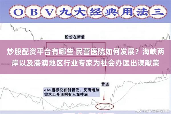 炒股配资平台有哪些 民营医院如何发展？海峡两岸以及港澳地区行业专家为社会办医出谋献策
