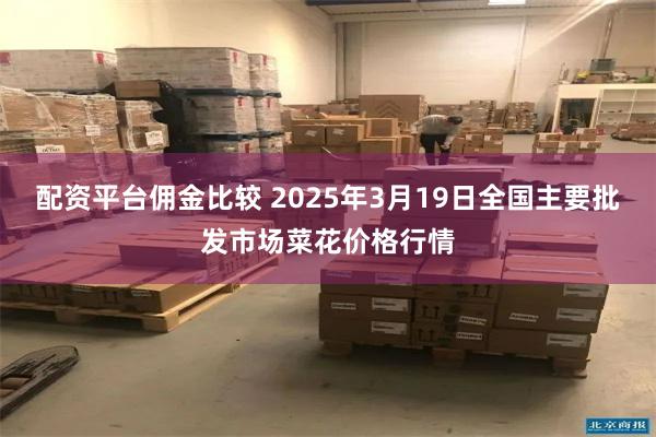 配资平台佣金比较 2025年3月19日全国主要批发市场菜花价格行情