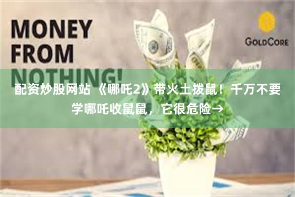 配资炒股网站 《哪吒2》带火土拨鼠！千万不要学哪吒收鼠鼠，它很危险→