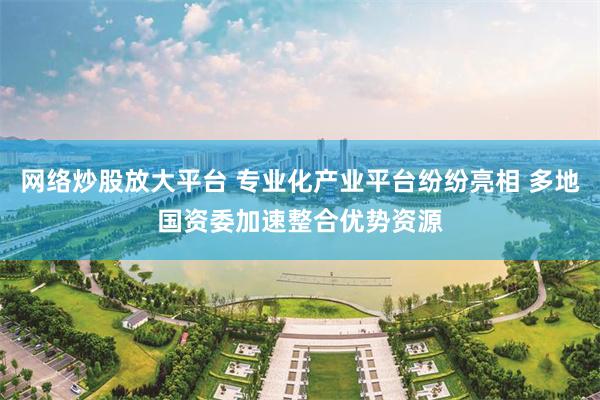 网络炒股放大平台 专业化产业平台纷纷亮相 多地国资委加速整合优势资源