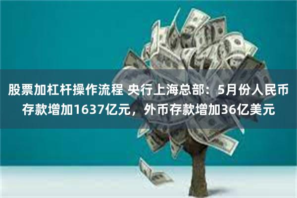 股票加杠杆操作流程 央行上海总部：5月份人民币存款增加1637亿元，外币存款增加36亿美元