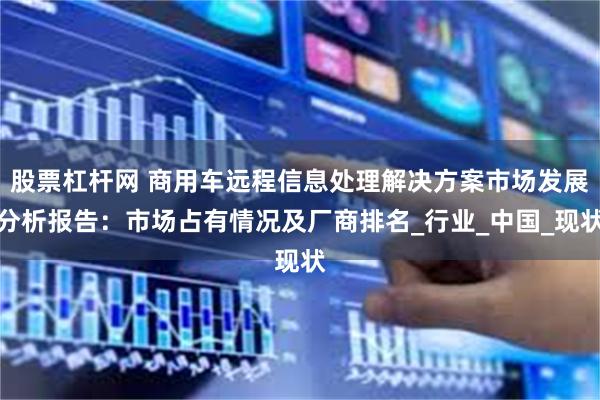 股票杠杆网 商用车远程信息处理解决方案市场发展分析报告：市场占有情况及厂商排名_行业_中国_现状
