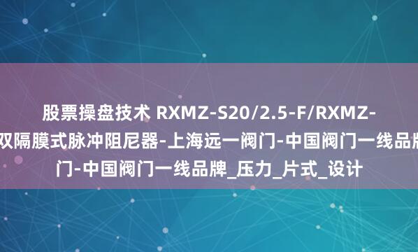 股票操盘技术 RXMZ-S20/2.5-F/RXMZ-L20/2.5-F不锈钢双隔膜式脉冲阻尼器-上海远一阀门-中国阀门一线品牌_压力_片式_设计