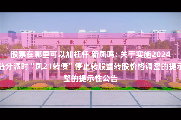 股票在哪里可以加杠杆 新凤鸣: 关于实施2024年度权益分派时“凤21转债”停止转股暨转股价格调整的提示性公告